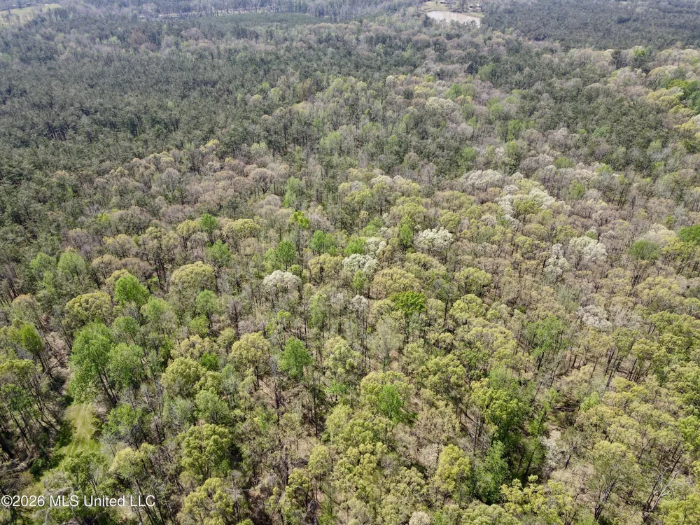 27979 Mississippi 12 Lexington, MS 39095
