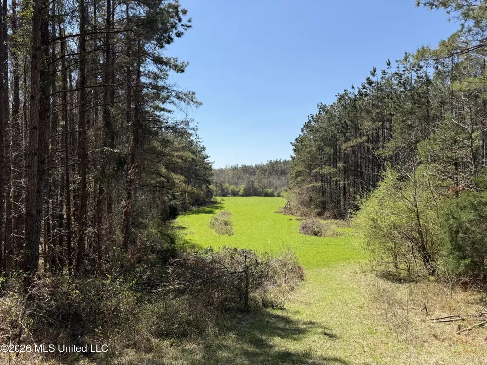 27979 Mississippi 12 Lexington, MS 39095