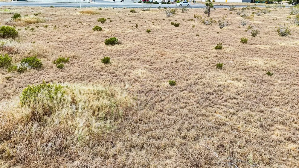 11695 Hesperia Road Hesperia, CA 92345