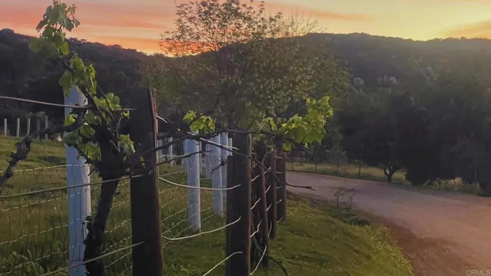 22002 Lyons Valley Road Alpine, CA 91901