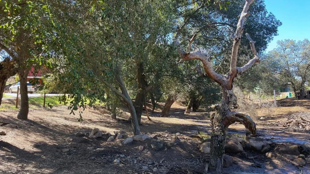 22002 Lyons Valley Road Alpine, CA 91901