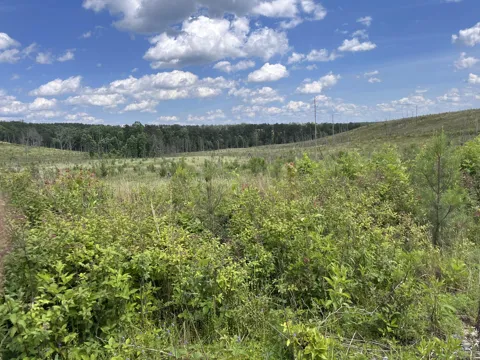 4 Hwy 399