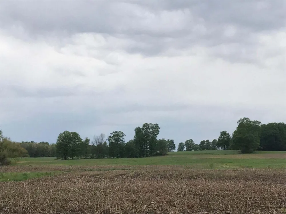 W Polk Road Hart, MI 49420