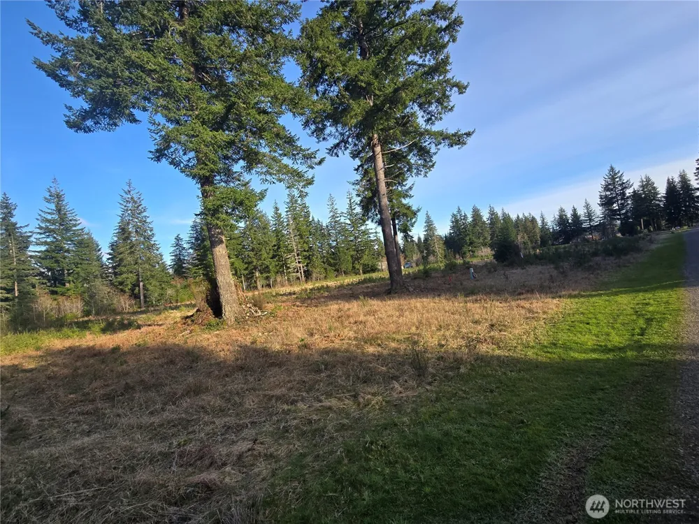 9999 Sawyer Way Forks, WA 98331