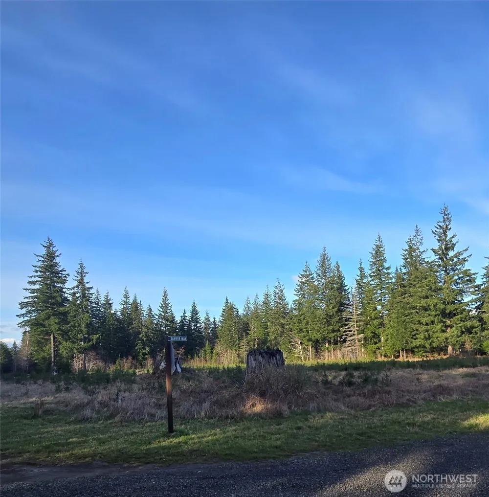 9999 Sawyer Way Forks, WA 98331