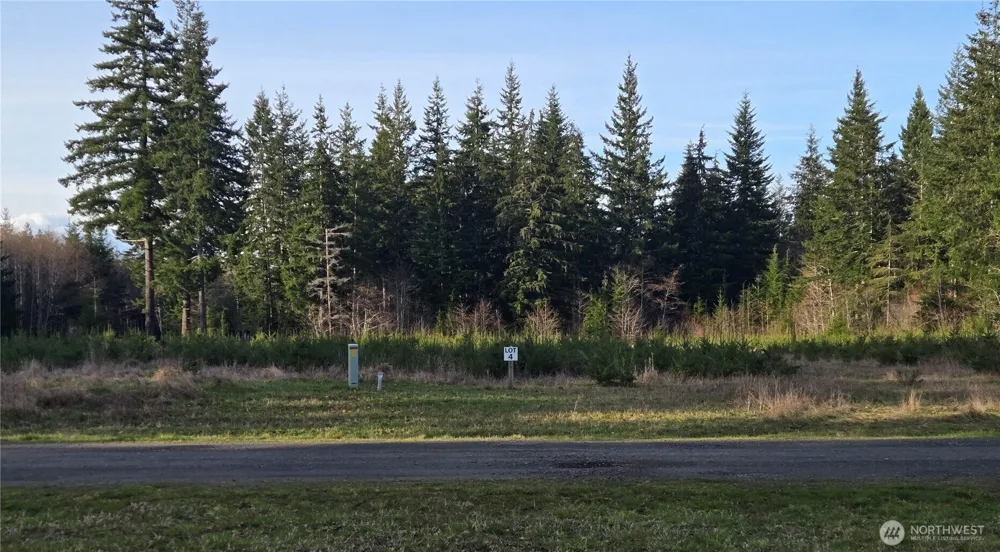 9999 Sawyer Way Forks, WA 98331