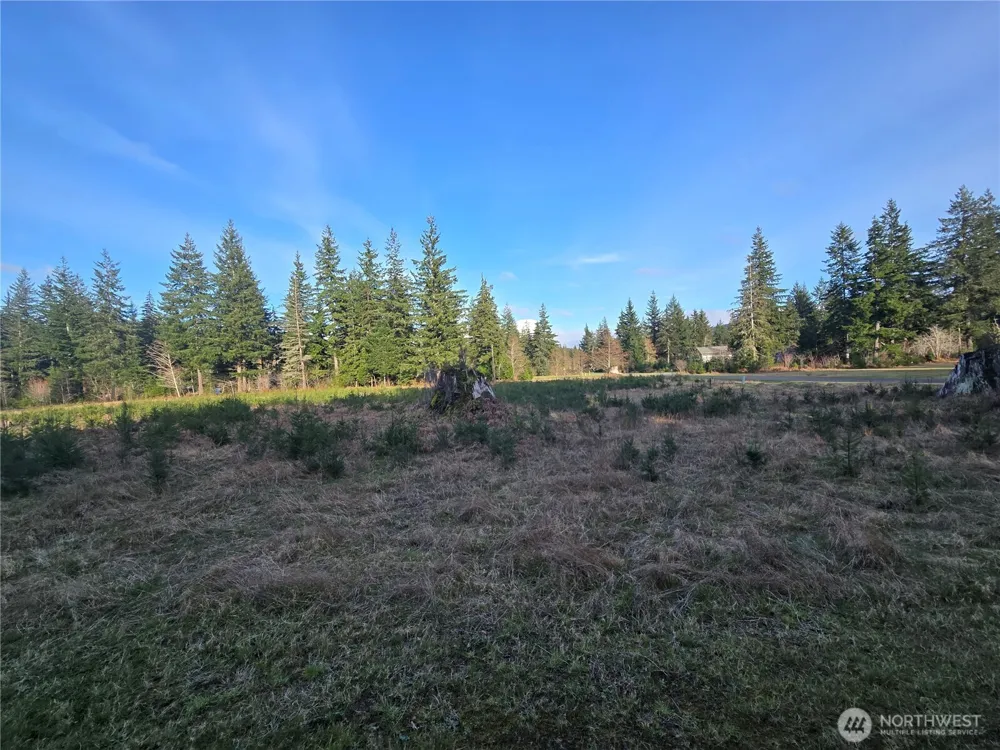 9999 Sawyer Way Forks, WA 98331