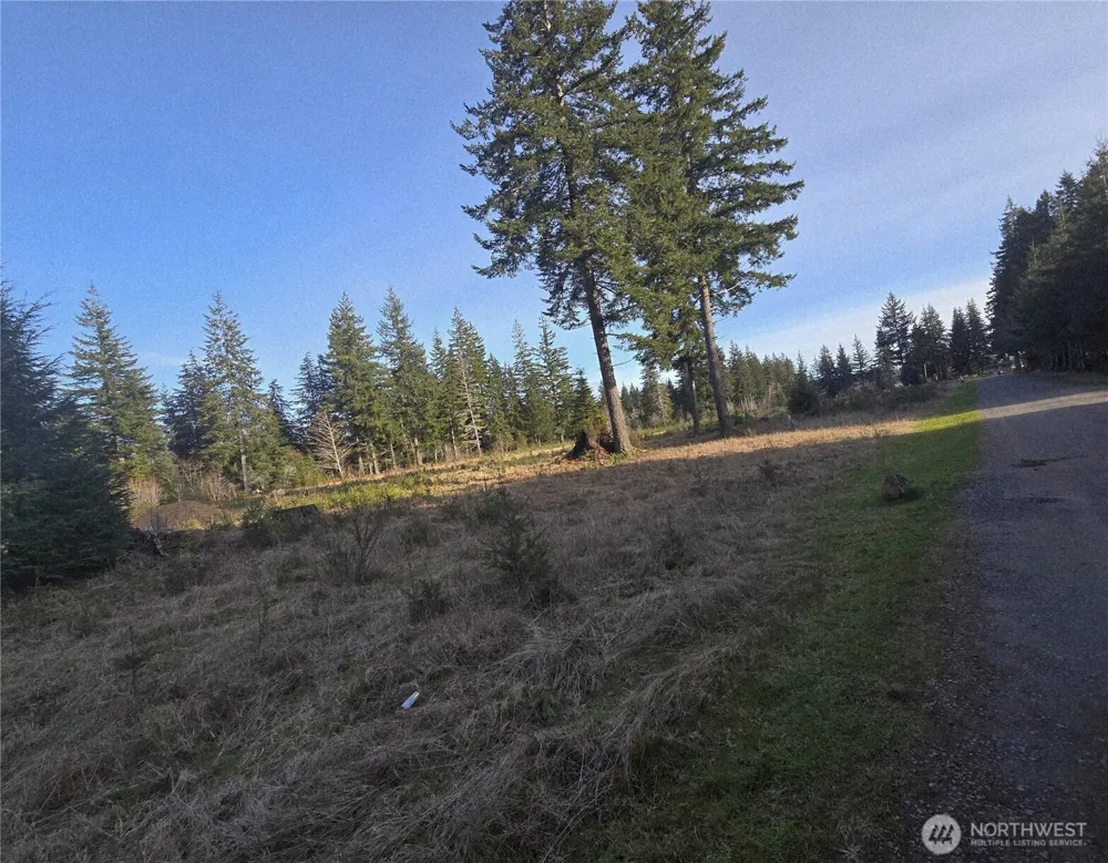 9999 Sawyer Way Forks, WA 98331