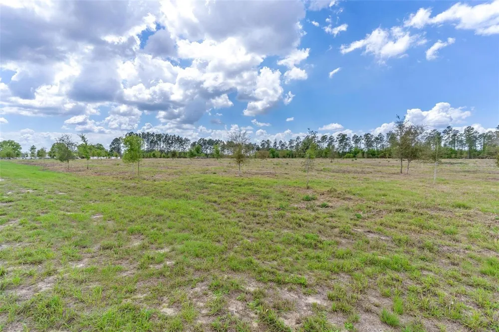 SE 170TH AVENUE Weirsdale, FL 32195