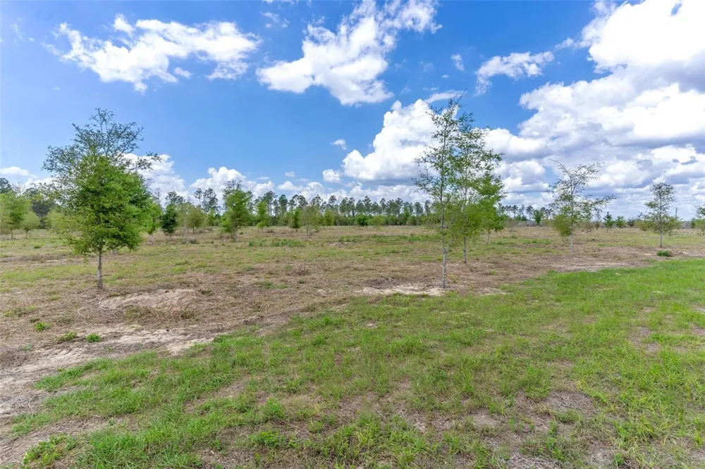SE 170TH AVENUE Weirsdale, FL 32195