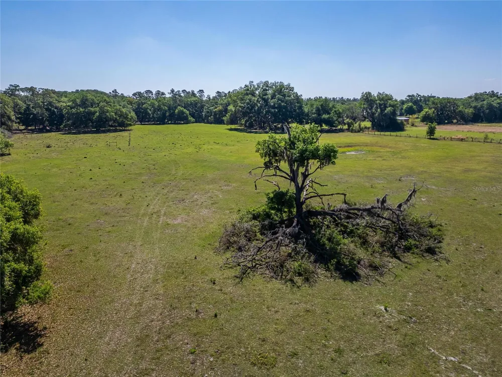 CARLTON ROAD Plant City, FL 33565