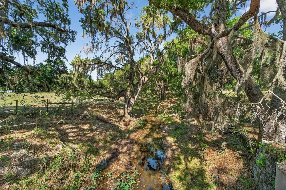 CARLTON ROAD Plant City, FL 33565