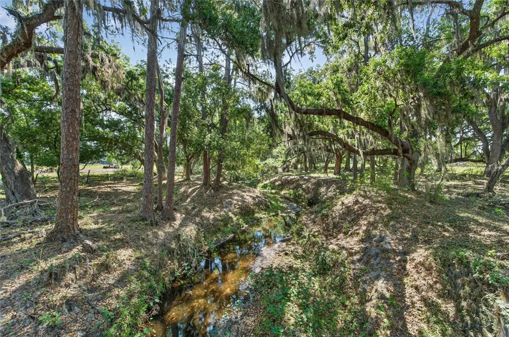 CARLTON ROAD Plant City, FL 33565