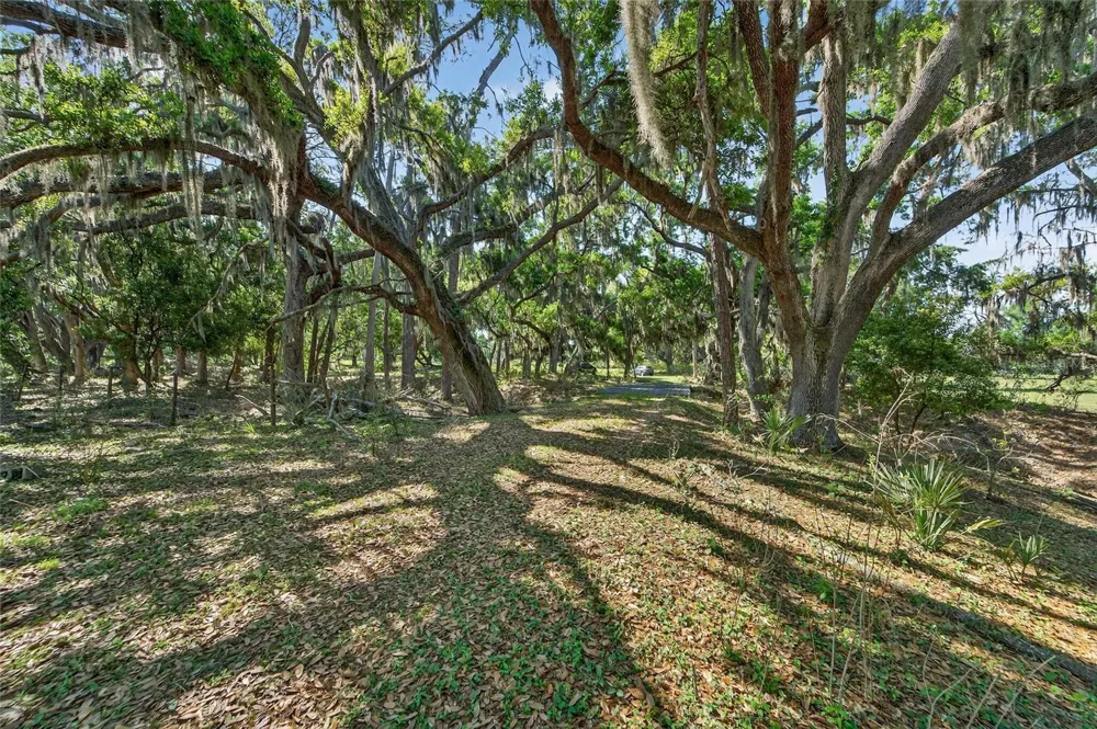 CARLTON ROAD Plant City, FL 33565