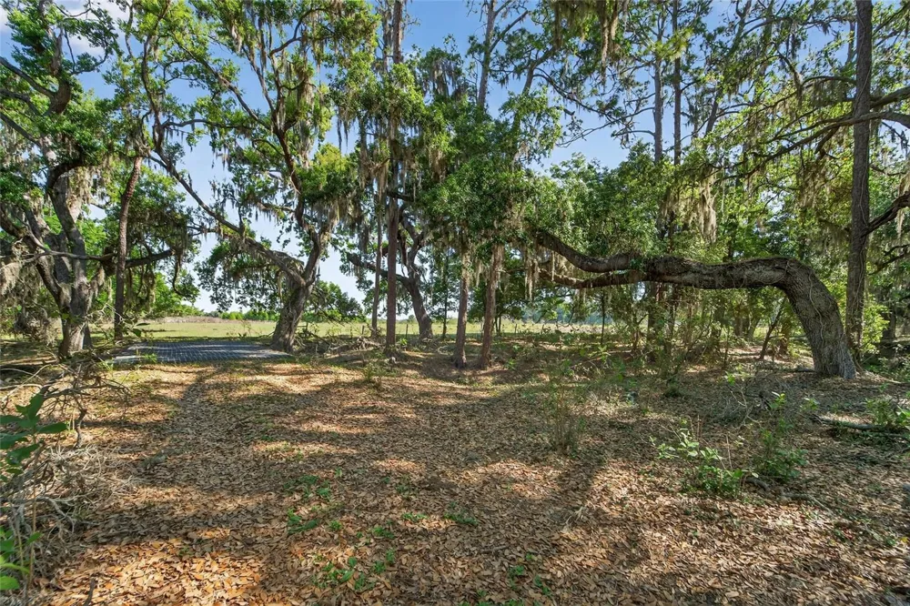 CARLTON ROAD Plant City, FL 33565