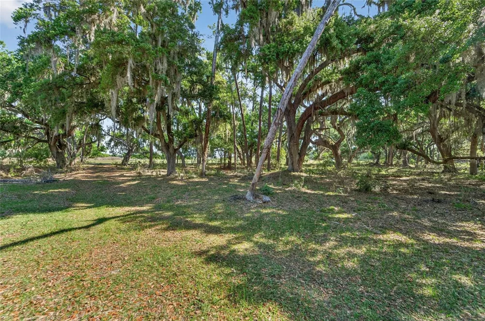CARLTON ROAD Plant City, FL 33565