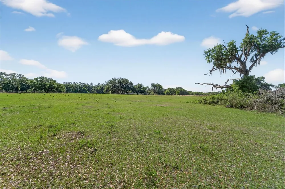 CARLTON ROAD Plant City, FL 33565