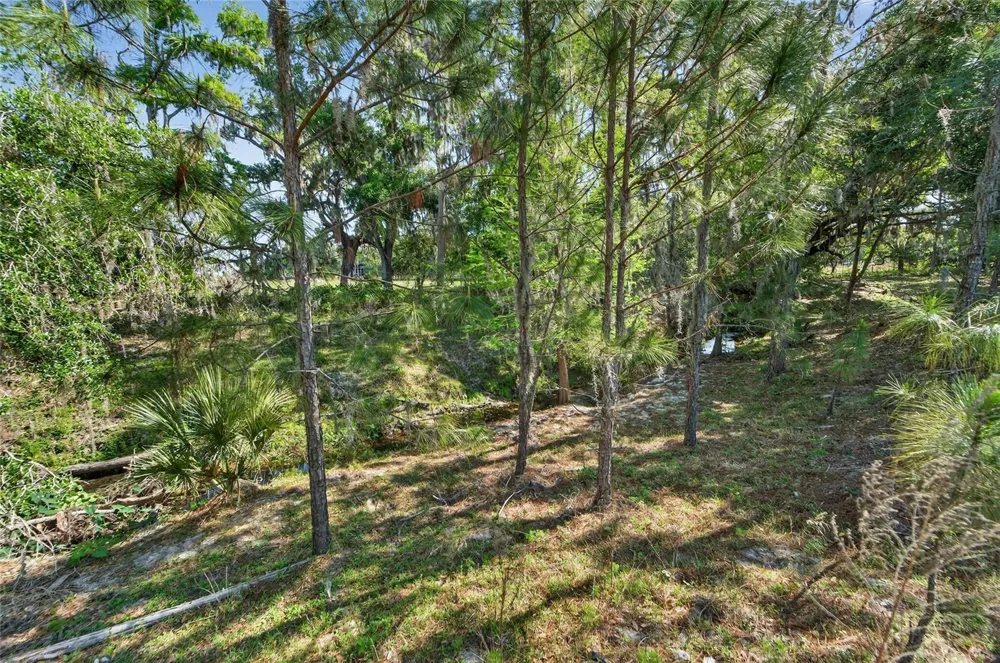 CARLTON ROAD Plant City, FL 33565