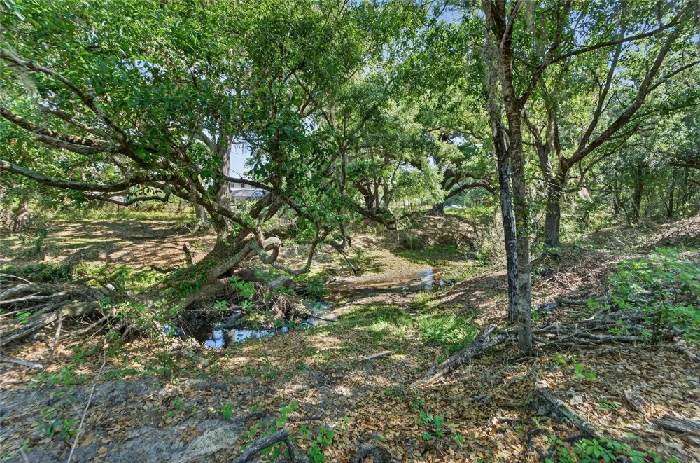 CARLTON ROAD Plant City, FL 33565