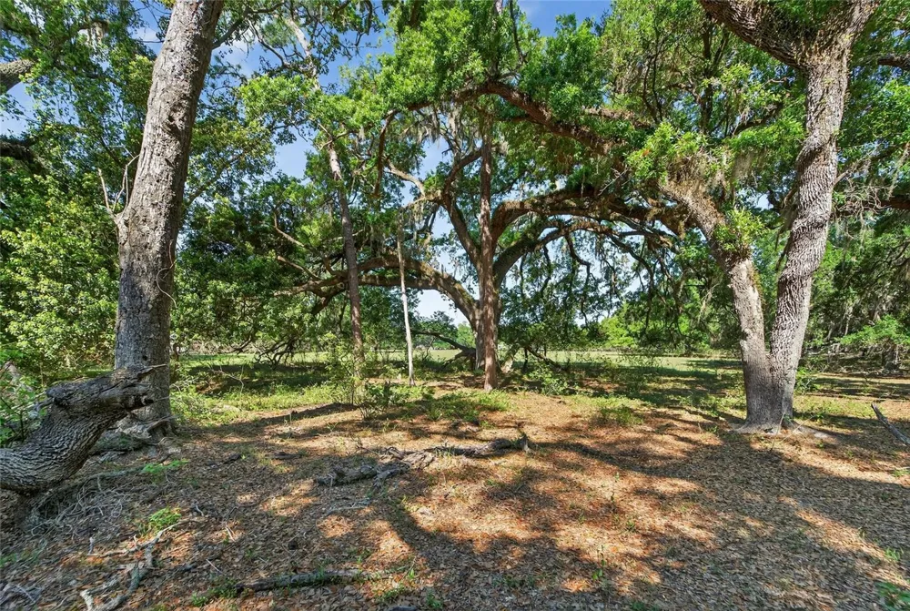 CARLTON ROAD Plant City, FL 33565