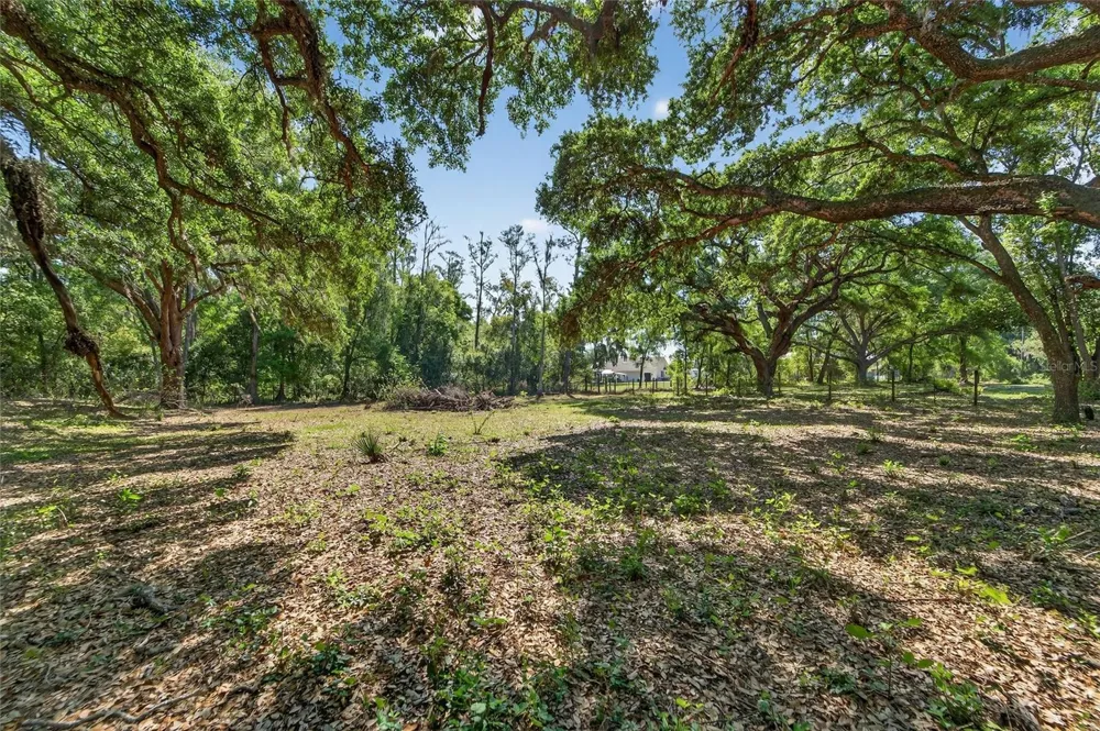 CARLTON ROAD Plant City, FL 33565
