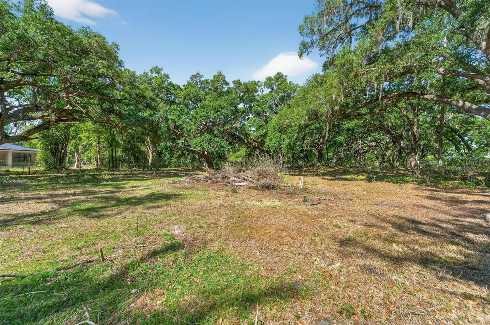 CARLTON ROAD Plant City, FL 33565