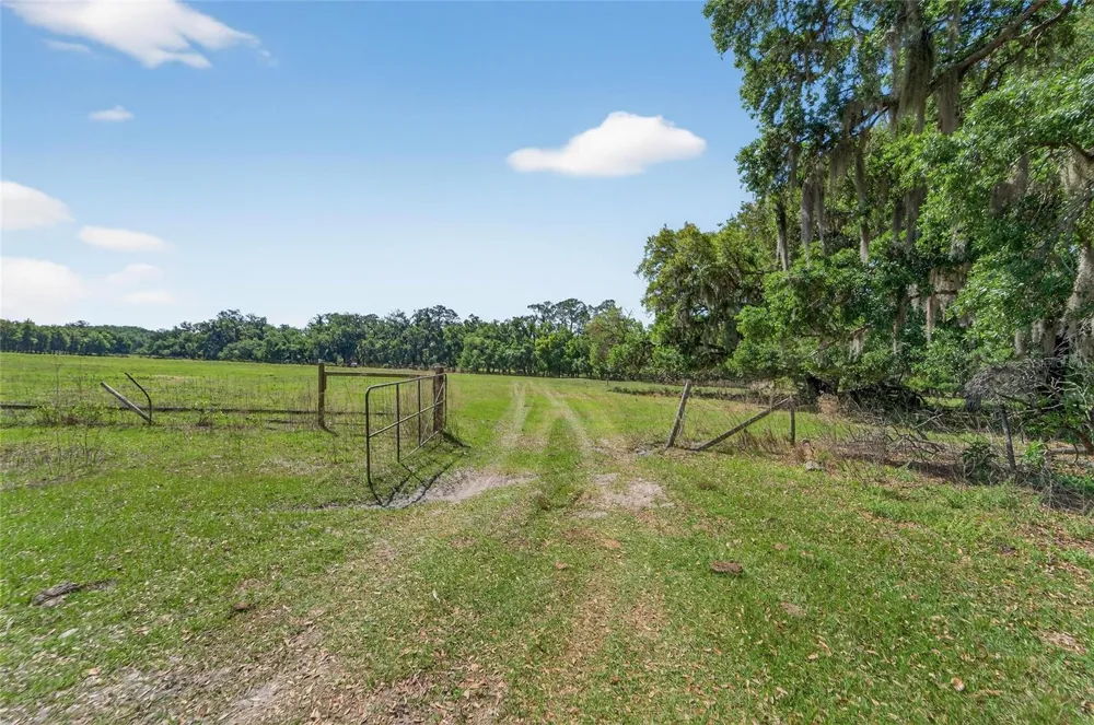CARLTON ROAD Plant City, FL 33565