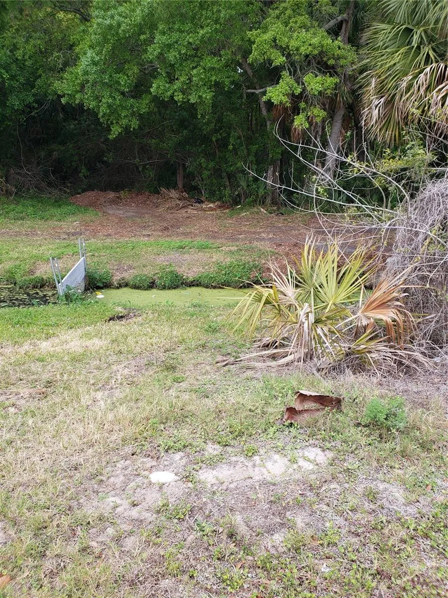 GROSSE AVENUE Tarpon Springs, FL 34689