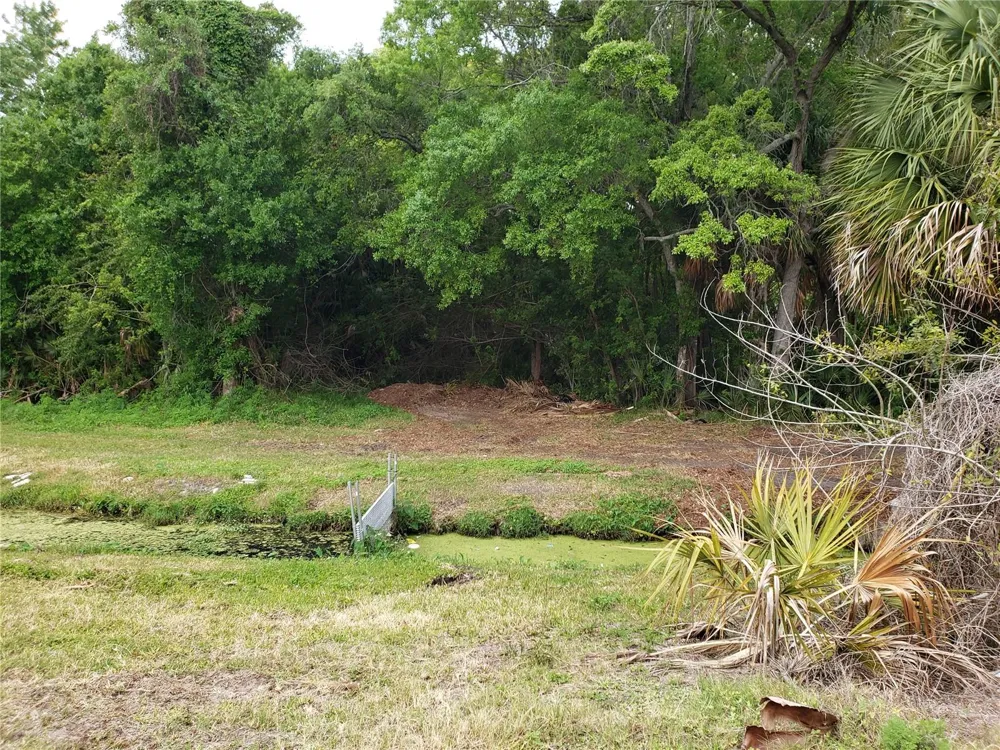 GROSSE AVENUE Tarpon Springs, FL 34689