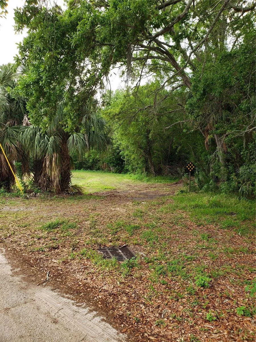 GROSSE AVENUE Tarpon Springs, FL 34689