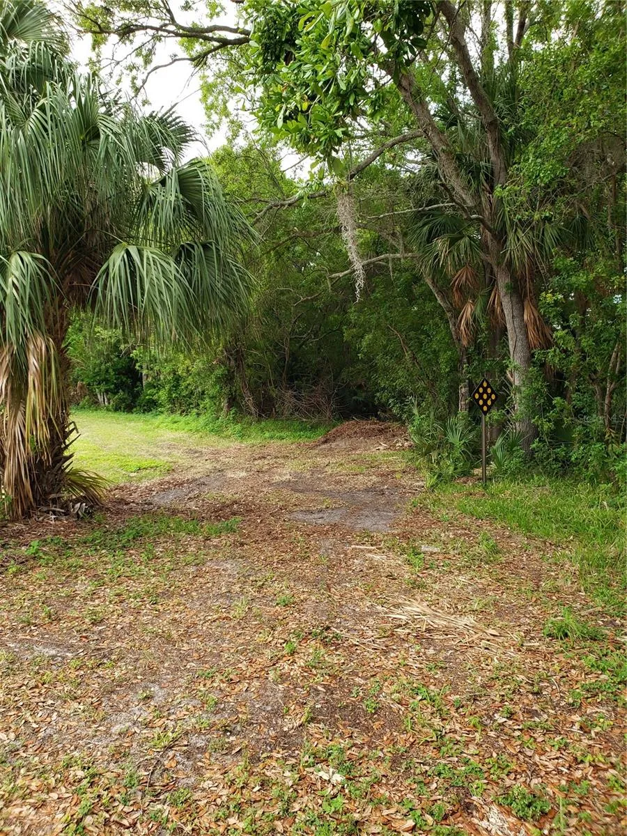 GROSSE AVENUE Tarpon Springs, FL 34689