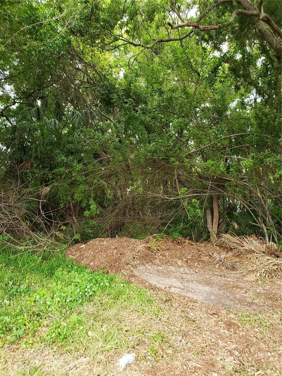GROSSE AVENUE Tarpon Springs, FL 34689