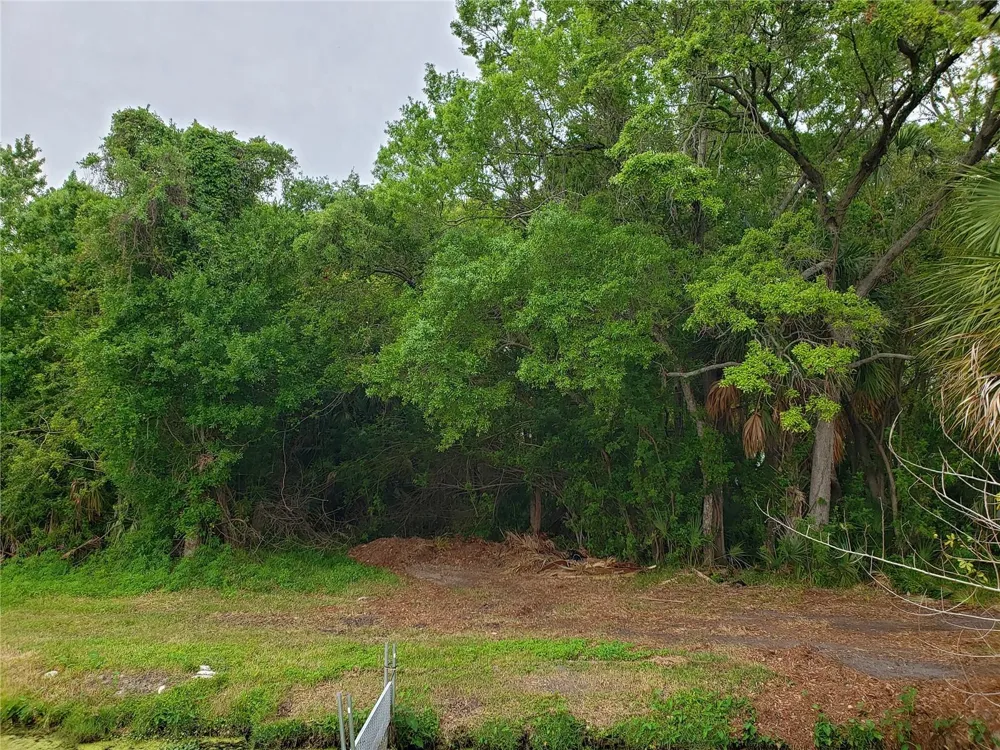 GROSSE AVENUE Tarpon Springs, FL 34689