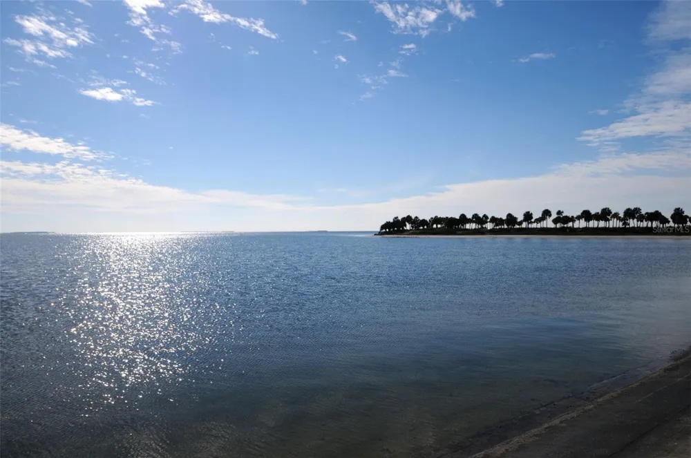 GROSSE AVENUE Tarpon Springs, FL 34689