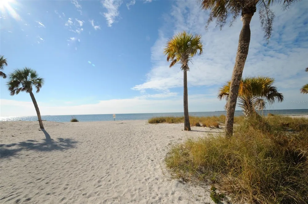GROSSE AVENUE Tarpon Springs, FL 34689