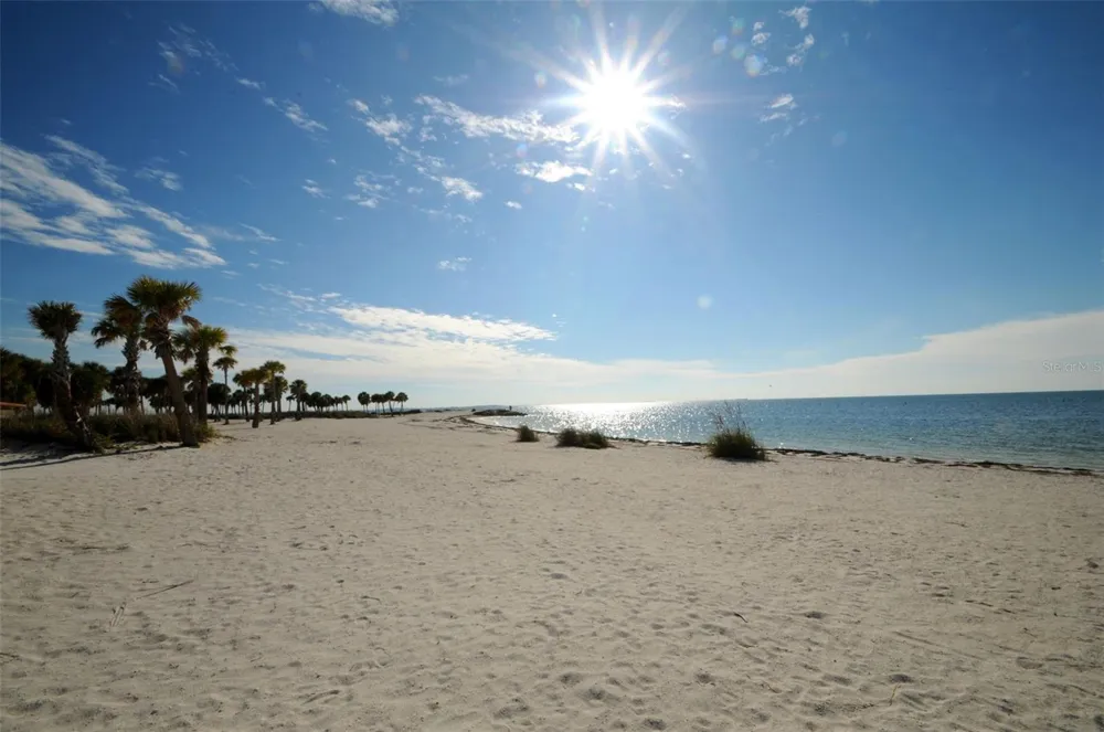 GROSSE AVENUE Tarpon Springs, FL 34689