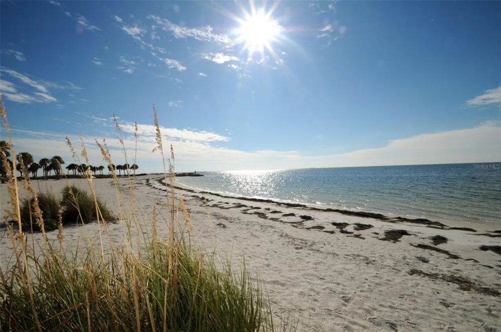 GROSSE AVENUE Tarpon Springs, FL 34689