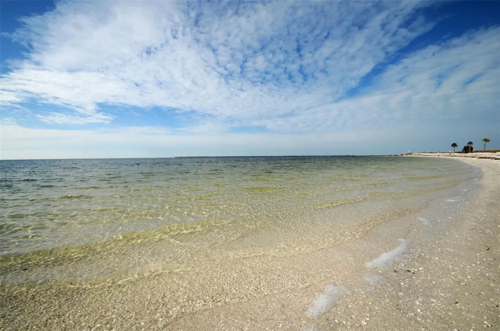 GROSSE AVENUE Tarpon Springs, FL 34689