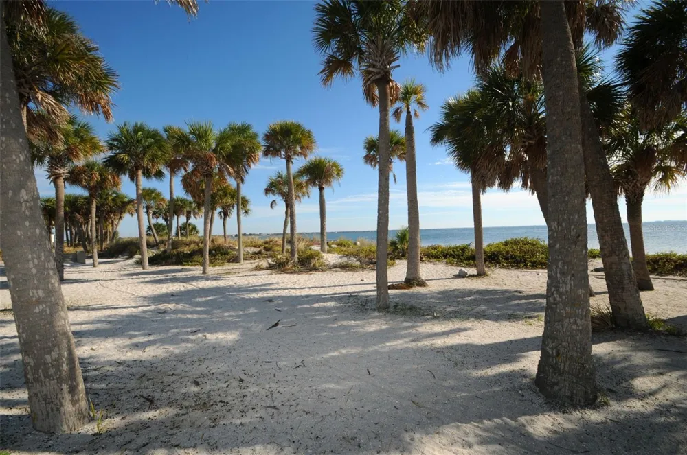 GROSSE AVENUE Tarpon Springs, FL 34689