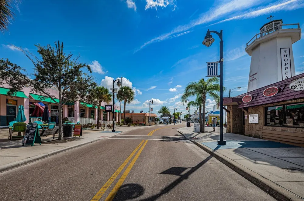 GROSSE AVENUE Tarpon Springs, FL 34689