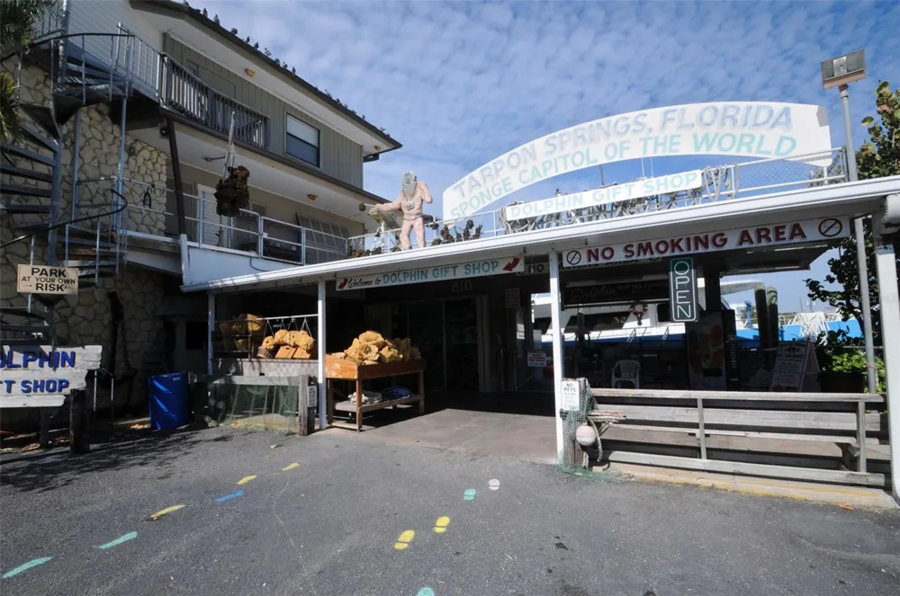 GROSSE AVENUE Tarpon Springs, FL 34689