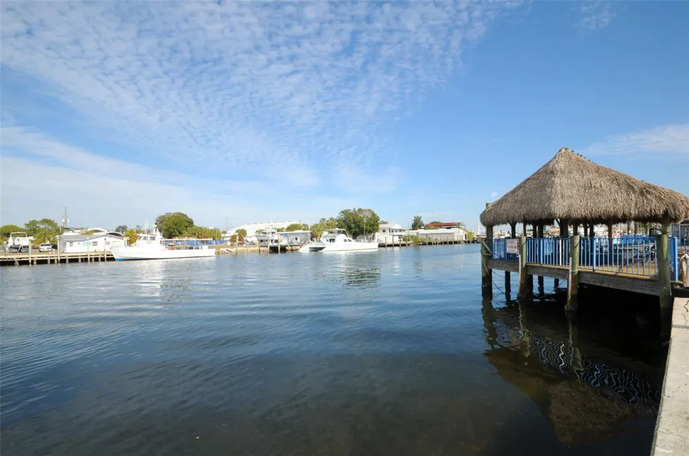 GROSSE AVENUE Tarpon Springs, FL 34689