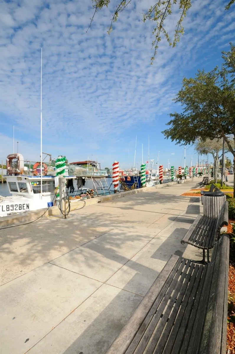 GROSSE AVENUE Tarpon Springs, FL 34689