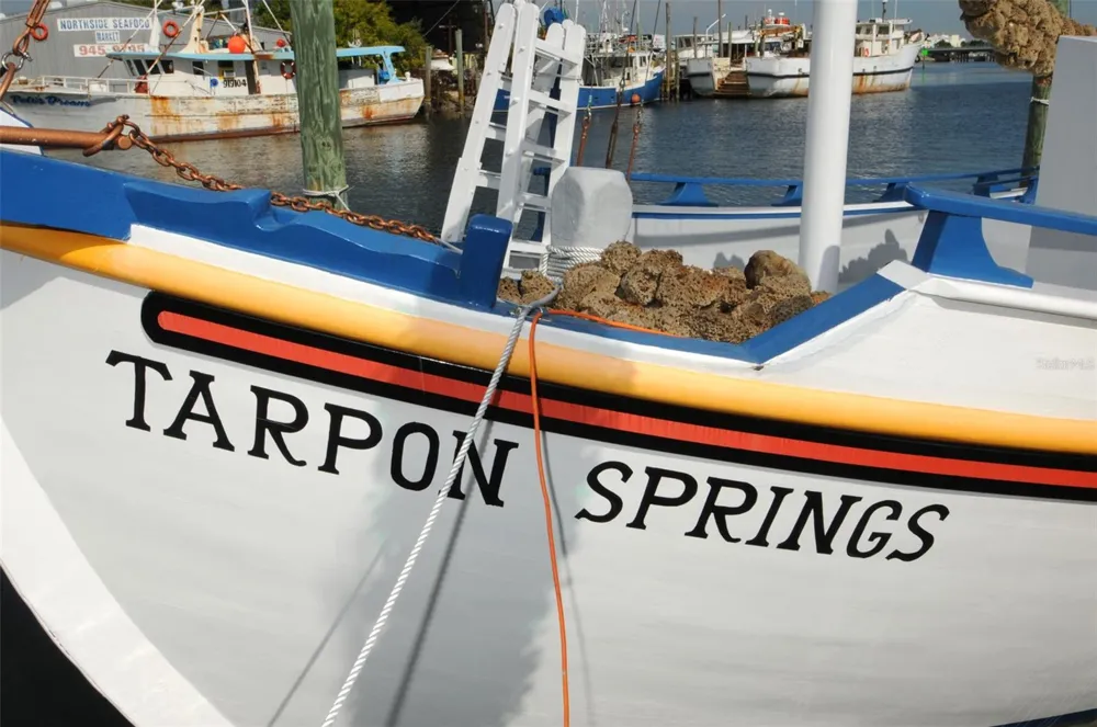 GROSSE AVENUE Tarpon Springs, FL 34689