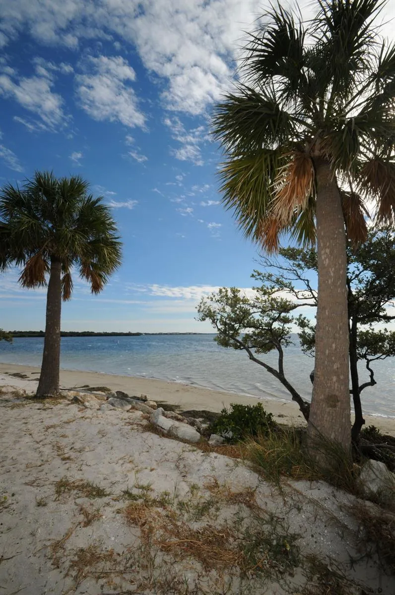 GROSSE AVENUE Tarpon Springs, FL 34689