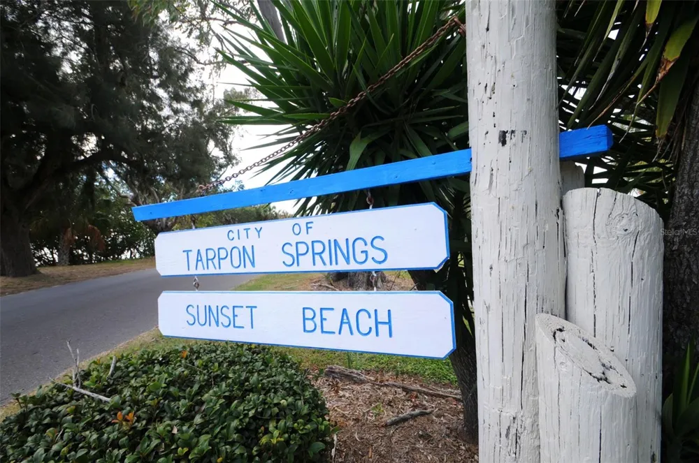 GROSSE AVENUE Tarpon Springs, FL 34689