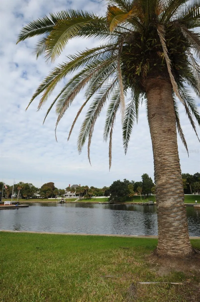 GROSSE AVENUE Tarpon Springs, FL 34689