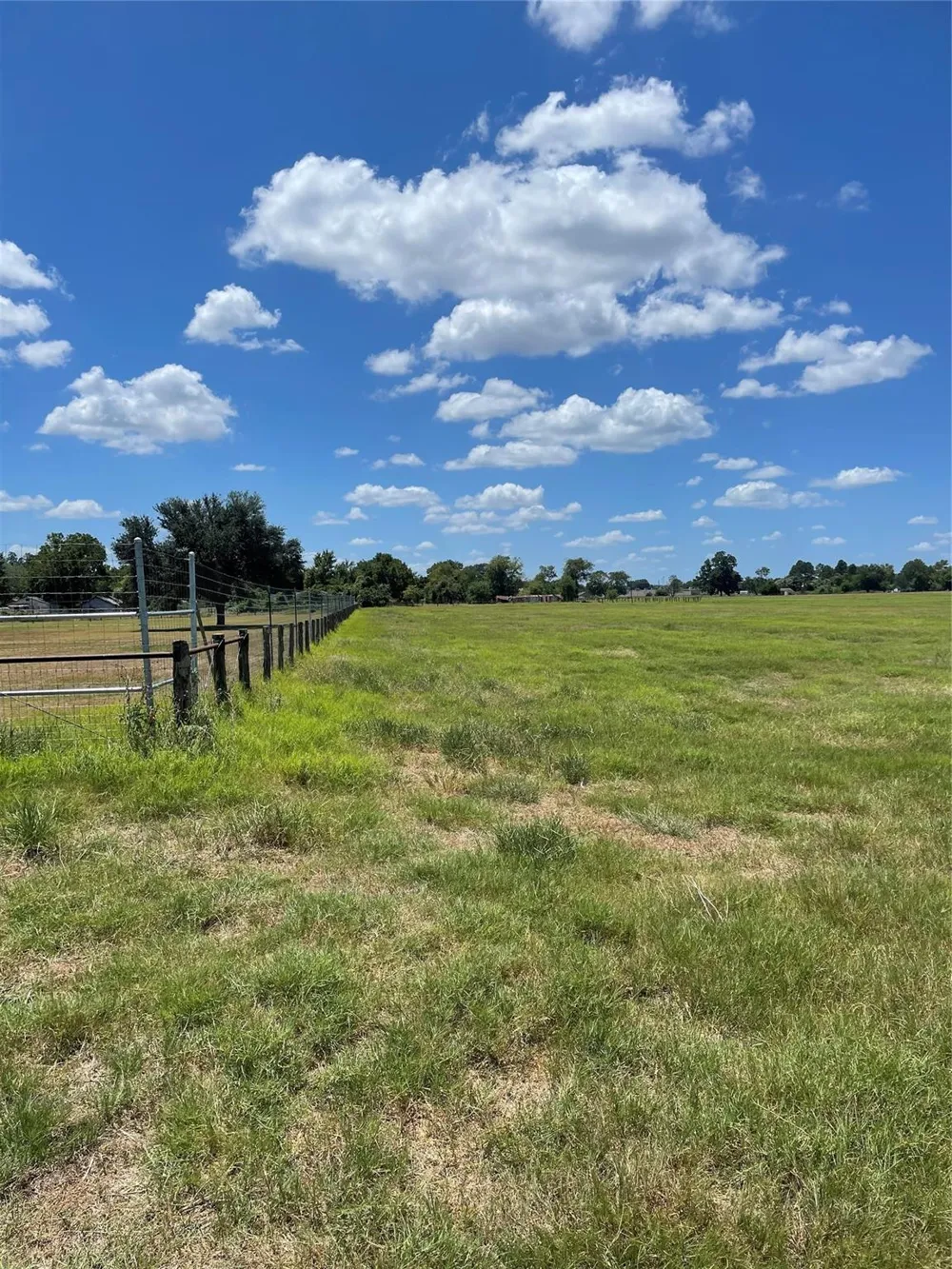 Preston/Robson Columbus, TX 78934