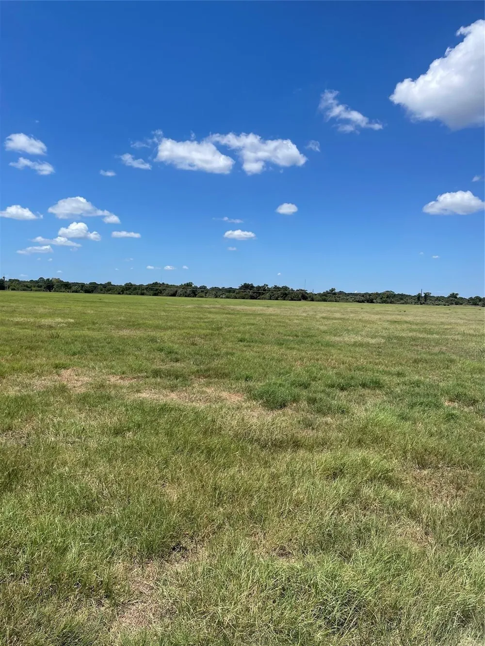 Preston/Robson Columbus, TX 78934