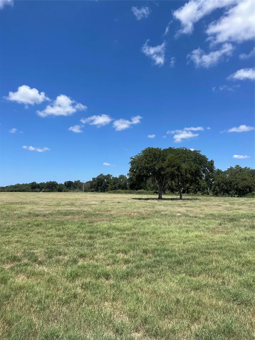 Preston/Robson Columbus, TX 78934
